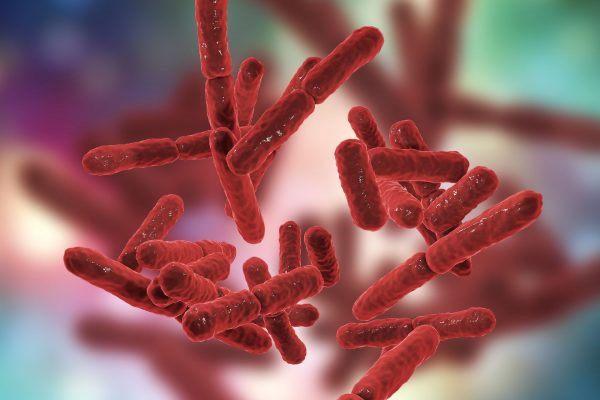 Avaliação de Contaminação Bacteriana em Laboratórios e Unidades de Saúde 