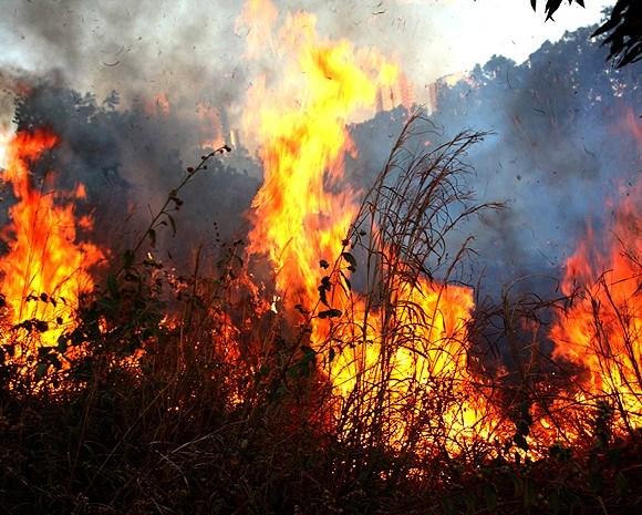 As queimadas e suas consequências para o meio ambiente 