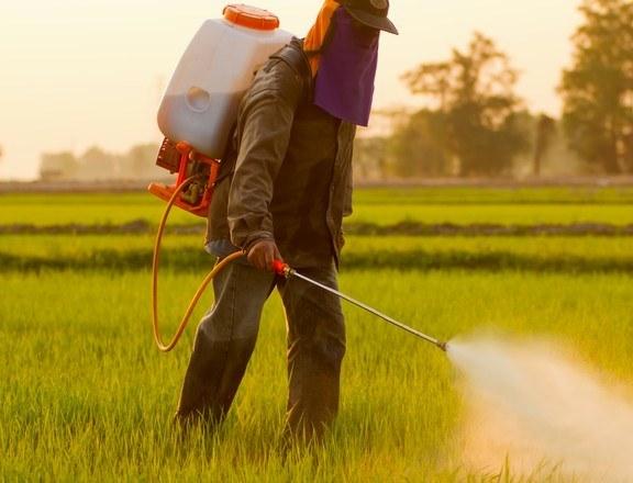 O Impacto do Uso de Agrotóxicos e da Fabricação de Pesticidas 