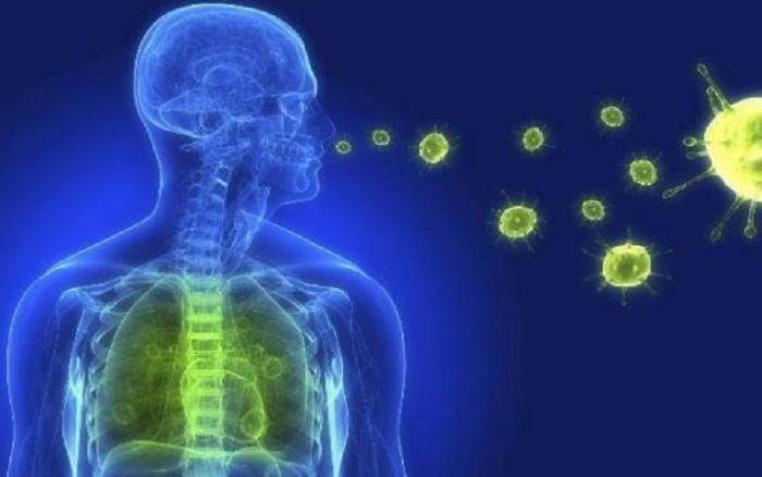 Infecções Virais do Trato Respiratório: Segurança Elementar 